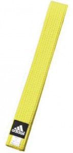    () Adidas 4,3/340  Yellow (JWH2039)