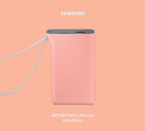    Samsung Kettle 5100 mAh Coral Pink (EB-PA510BRRGRU) (2)