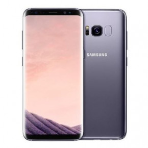   Samsung Galaxy S8 4/64GB Duos Gray (SM-G950FZVD) *EU (1)