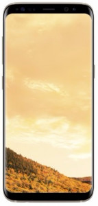   Samsung Galaxy S8 64GB Gold (SM-G950FZDD) (0)