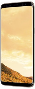  Samsung Galaxy S8 64GB Gold (SM-G950FZDD) 3