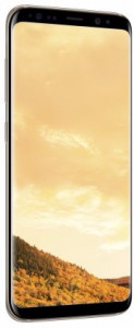   Samsung Galaxy S8 64GB Gold (SM-G950FZDD) (2)