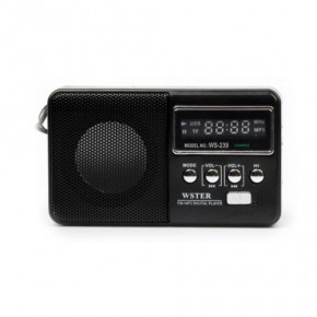   Wanster WS-239 USB MP3 Black