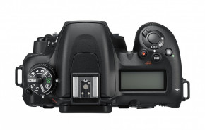  Nikon D7500 + AF-S DX 16-80 f/2.8-4E ED VR 5