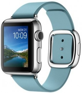 - Apple Watch 38mm Stainless Steel Case with Blue Jay Modern Buckle (MMF92)