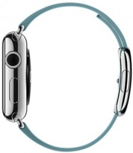 - Apple Watch 38mm Stainless Steel Case with Blue Jay Modern Buckle (MMF92) 3