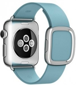 - Apple Watch 38mm Stainless Steel Case with Blue Jay Modern Buckle (MMF92) 4