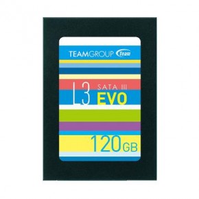  SSD Team 120GB L3 Evo (T253LE120GTC101)