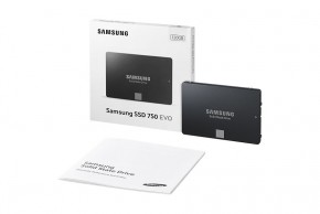 SSD  Samsung 750 Evo 120GB (MZ-750120BW) 11