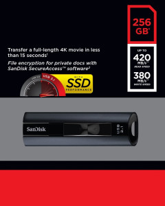   SanDisk 256GB USB 3.1 Extreme Pro (SDCZ880-256G-G46) (6)