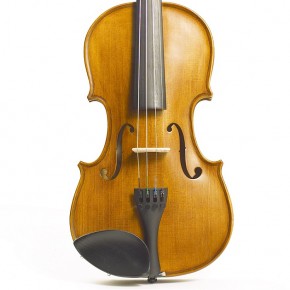  Stentor 1500/E Student Ii Violin Outfit 1/2 3