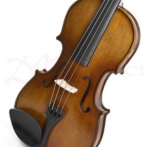   Stentor 1542/A Graduate Violin Outfit 4/4 (5)
