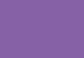  Savage Widetone Purple 2.72m x 11m