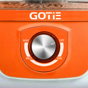      Gotie GSG-500 5