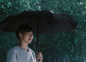  Xiaomi Mijia Automatic Umbrella Black 3